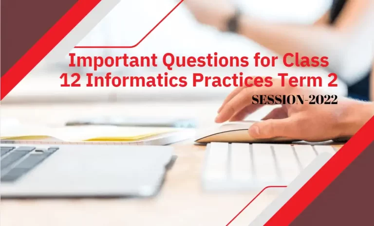 Important Questions for Class 12 Informatics Practices Term 2